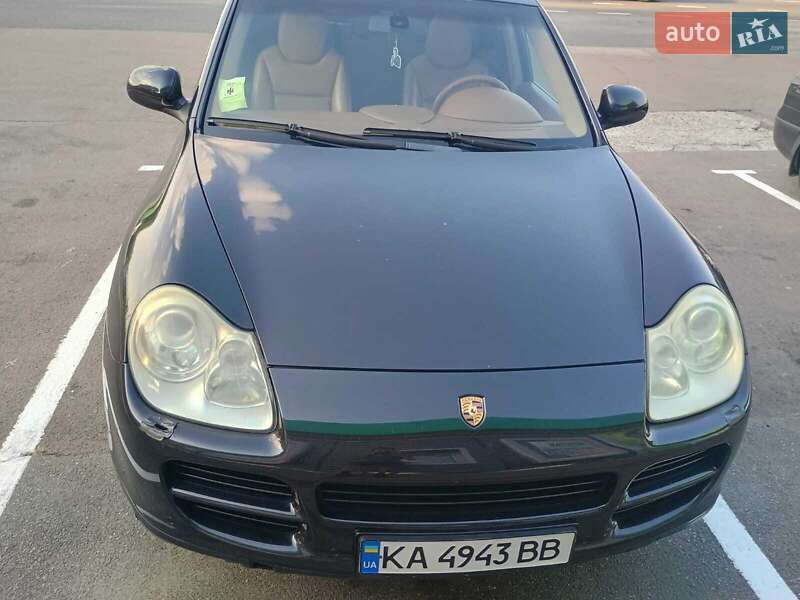 2005 Porsche Cayenne, VIN WP1ZZZ9PZ6LA40278:plate — фото 1 (autoria)