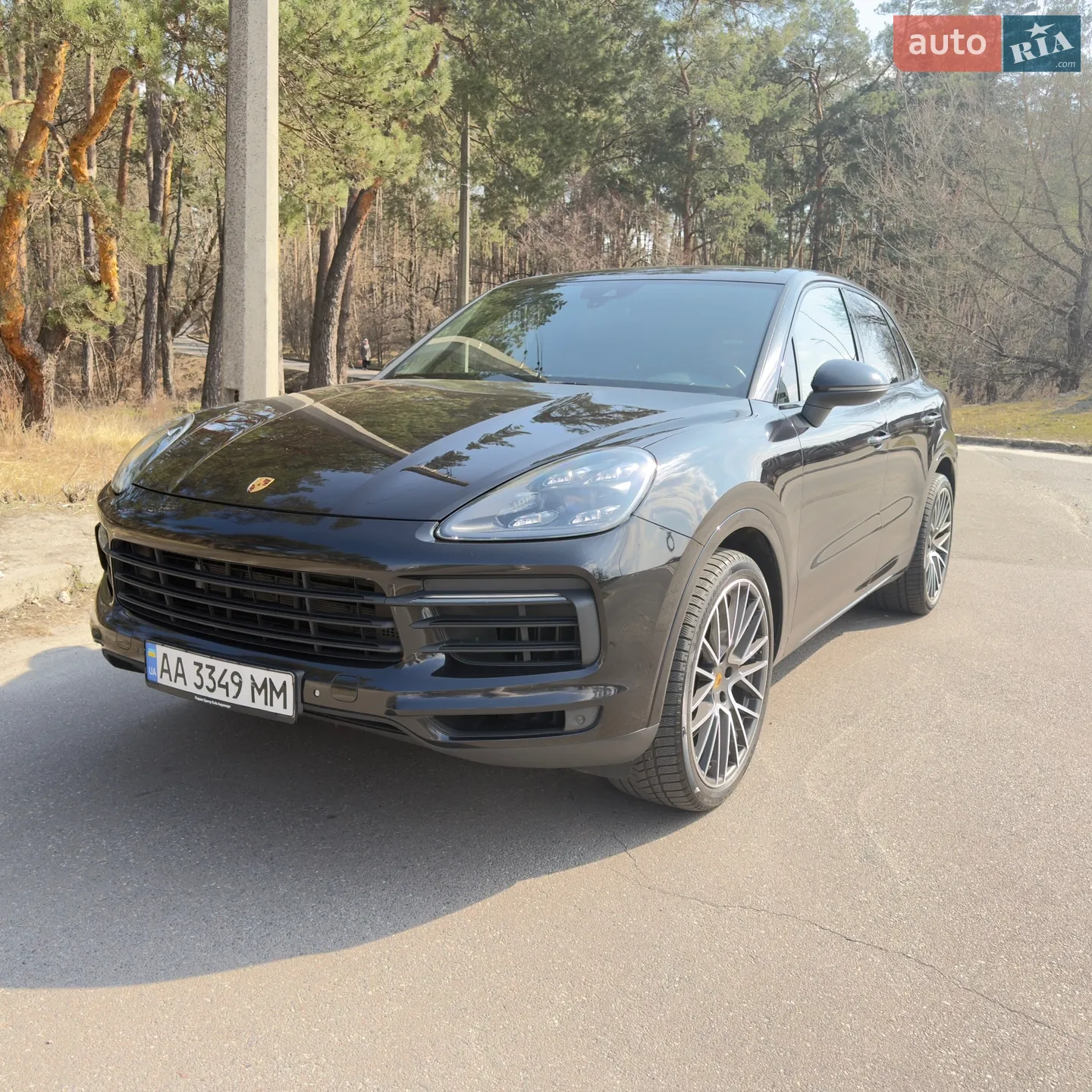 2018 Porsche Cayenne - мініатюра 4