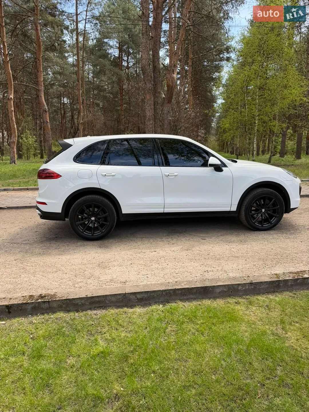 2015 Porsche Cayenne - мініатюра 6