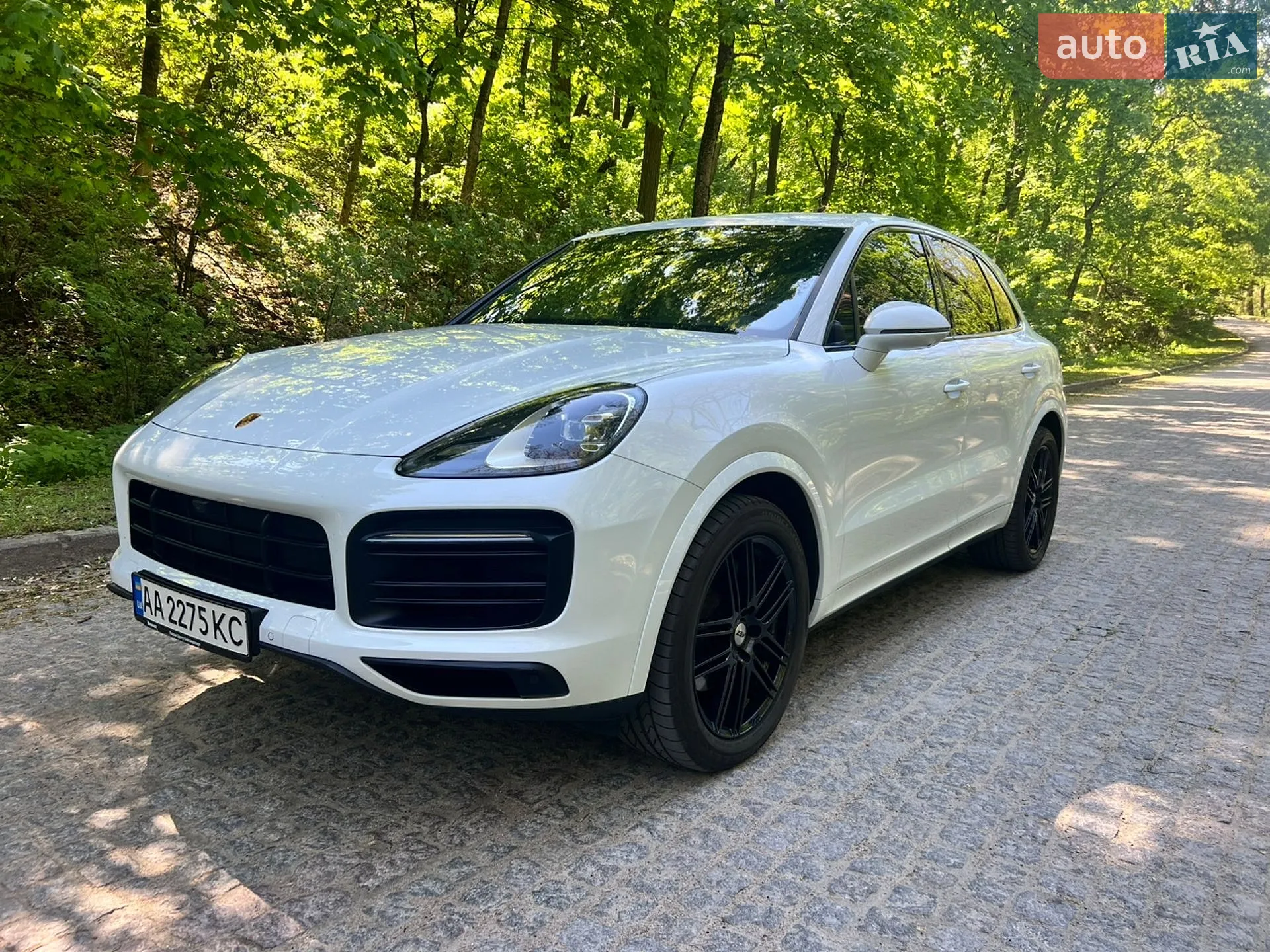 2019 Porsche Cayenne - мініатюра 2