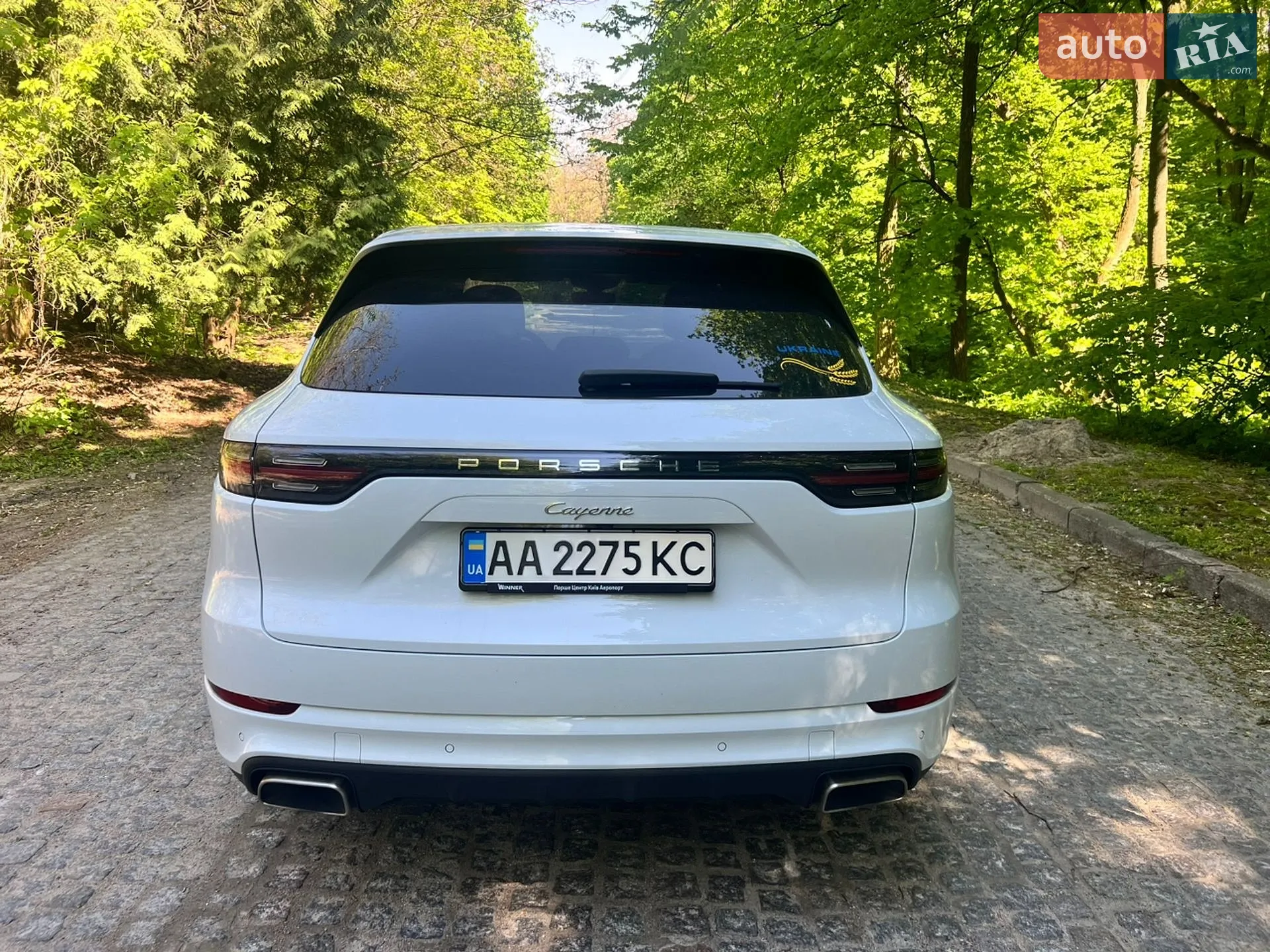 2019 Porsche Cayenne - мініатюра 7