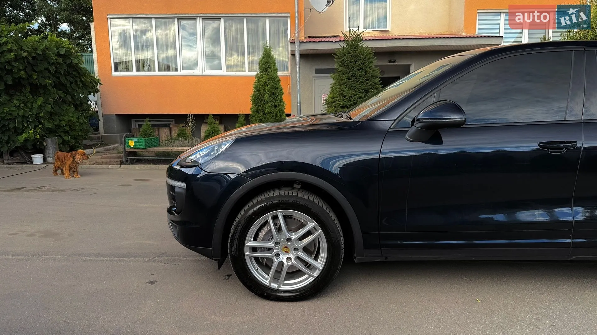 2015 Porsche Cayenne - мініатюра 6