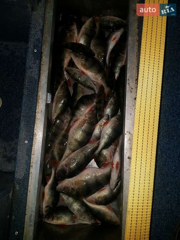 Катер Powerboat 520 2018 в Миколаєві