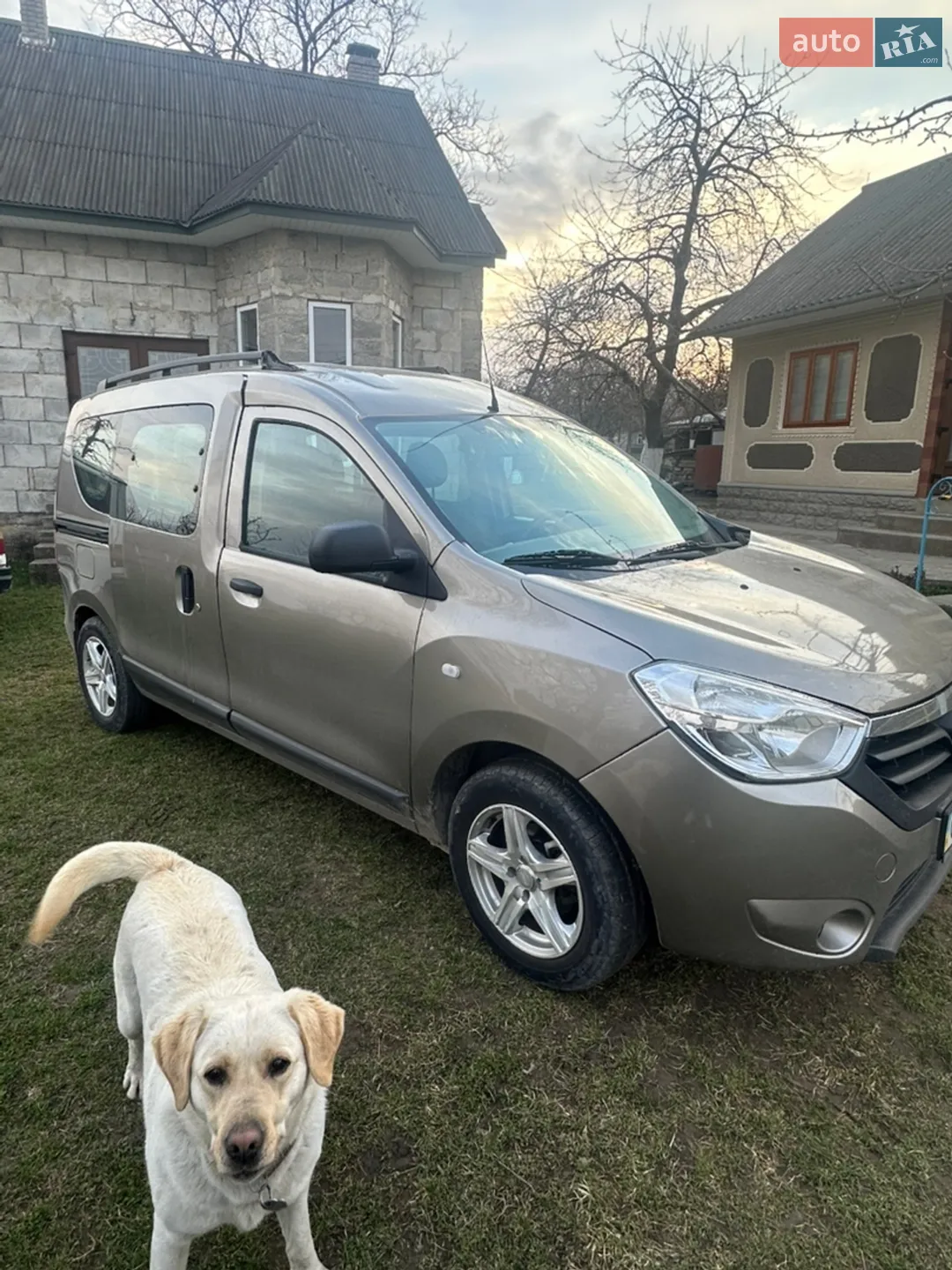 2013 Renault Dokker - мініатюра 3