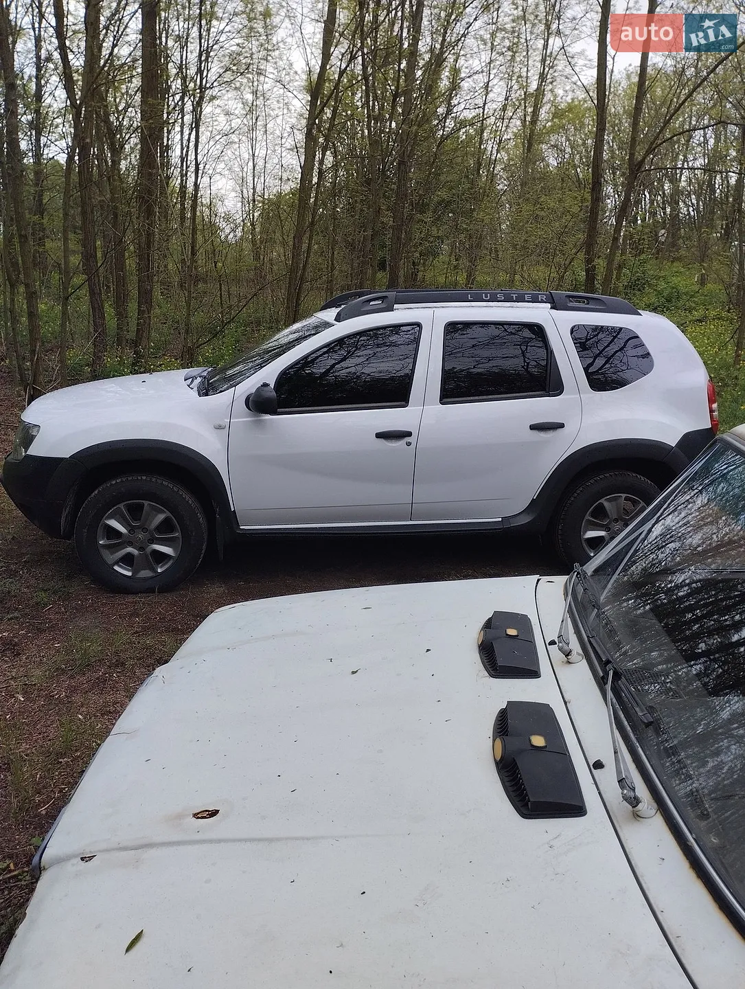 2017 Renault Duster - мініатюра 3