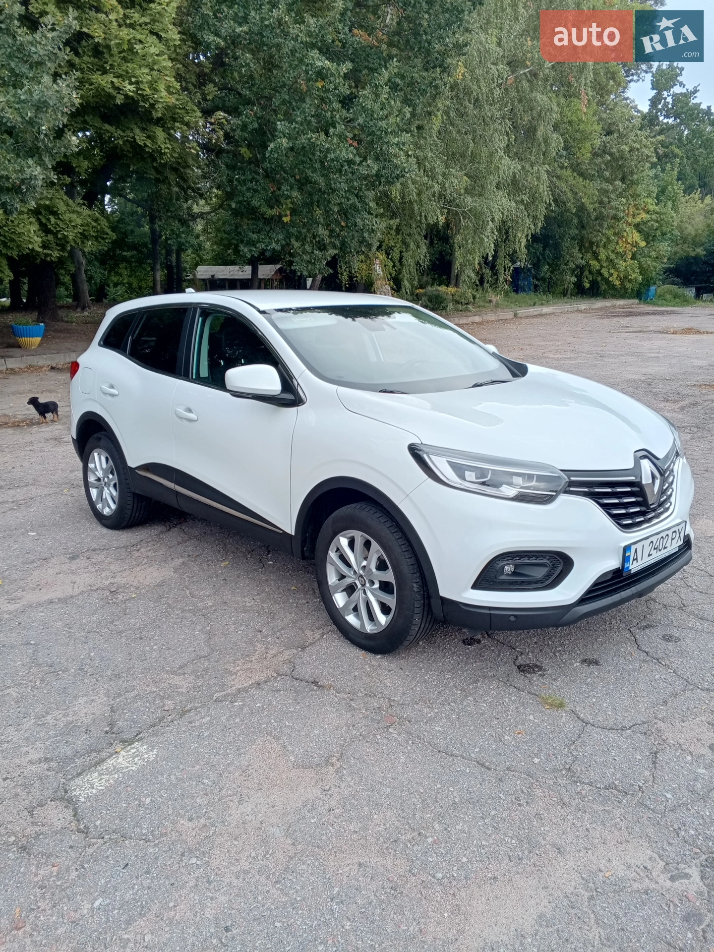 2021 Renault Kadjar - мініатюра 7