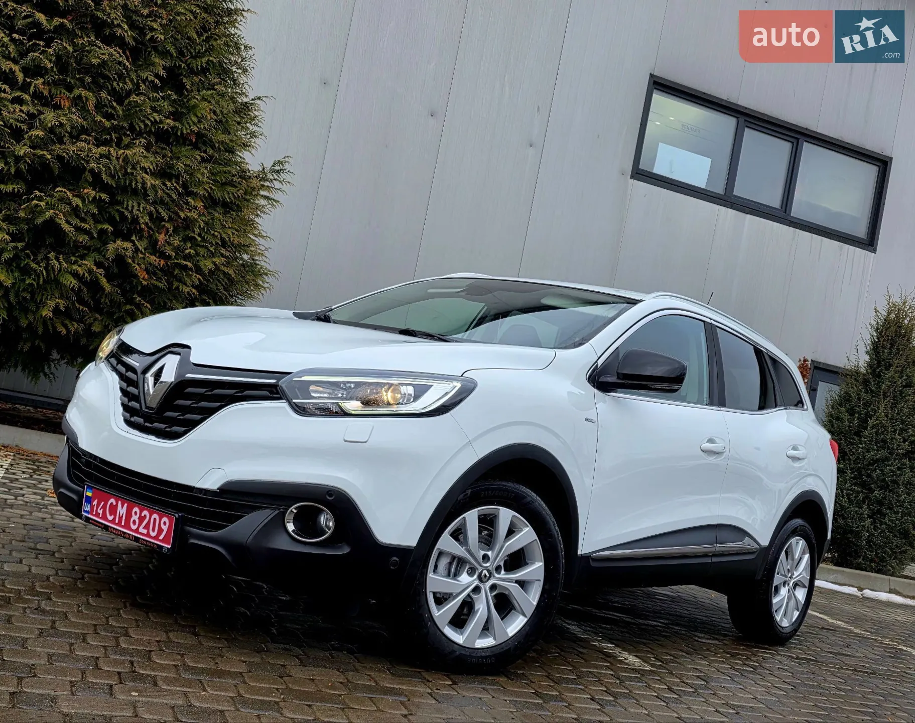 2019 Renault Kadjar - мініатюра 7