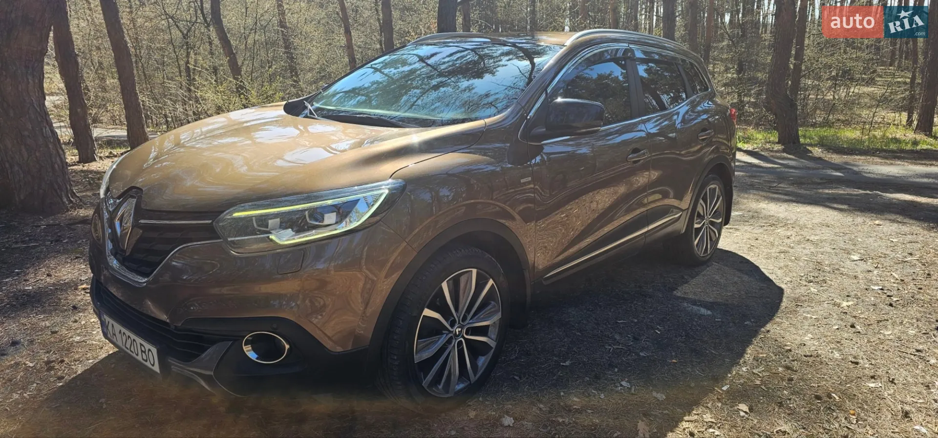 2017 Renault Kadjar - мініатюра 11