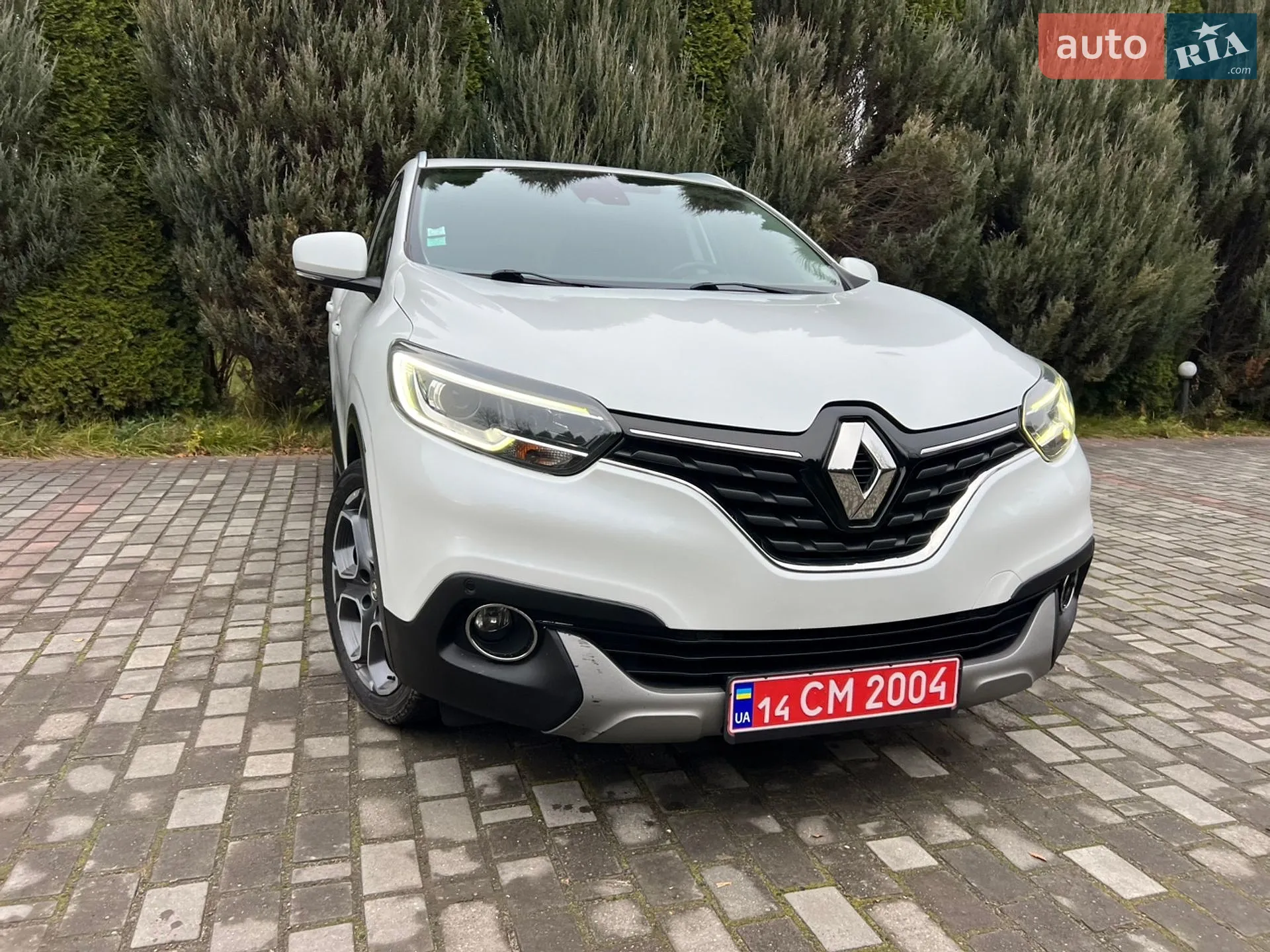 2015 Renault Kadjar - мініатюра 4