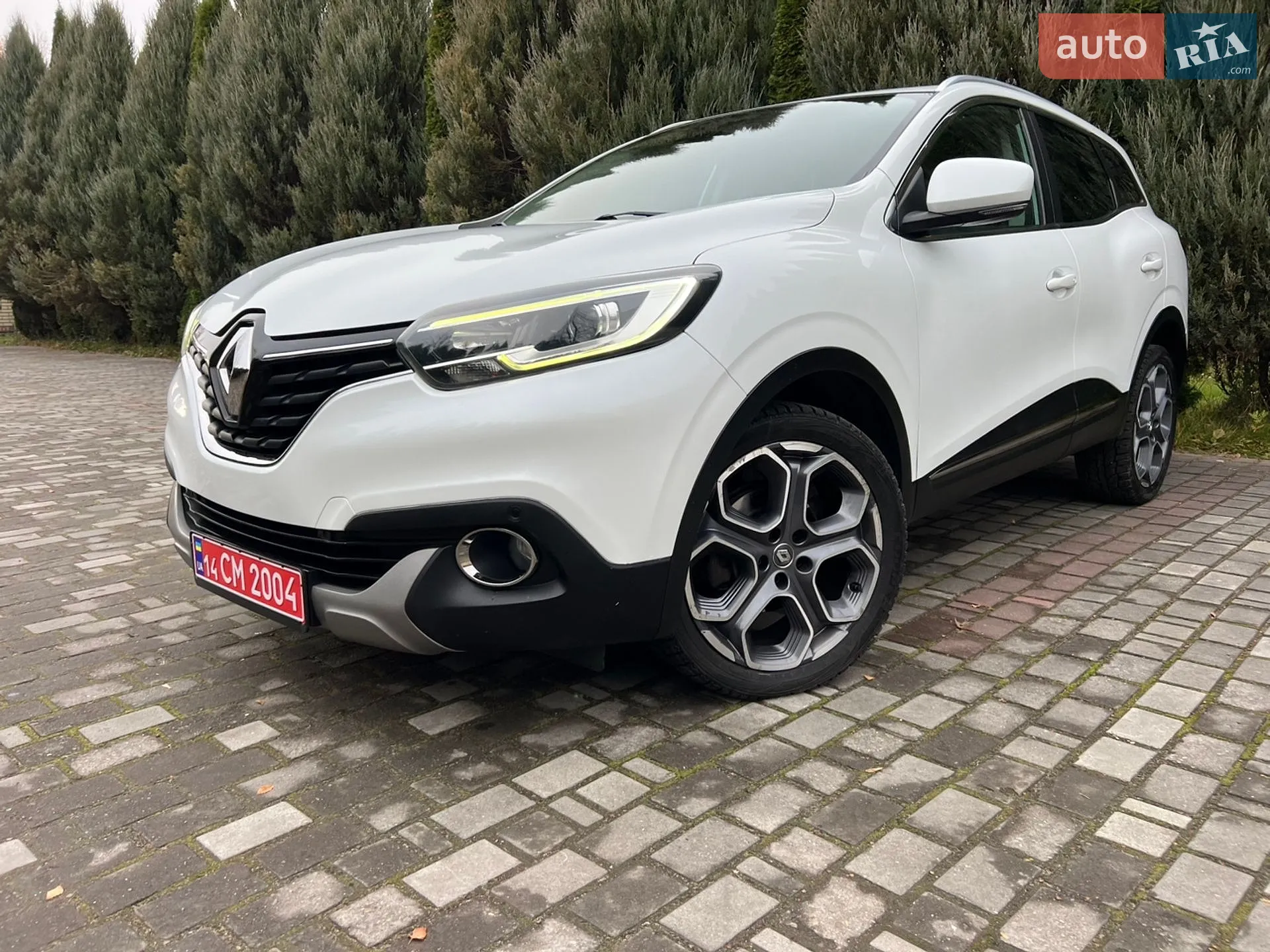 2015 Renault Kadjar - мініатюра 8