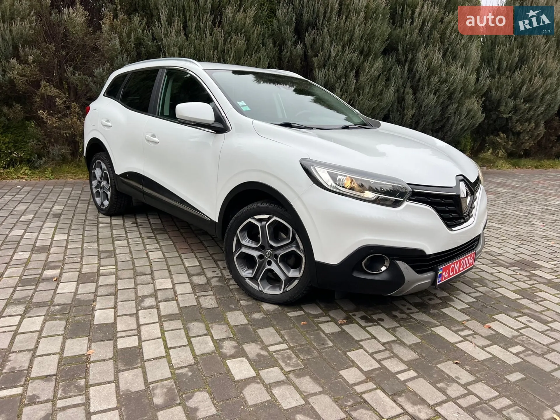 2015 Renault Kadjar - мініатюра 112