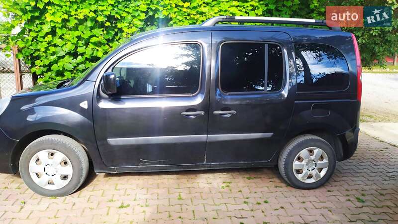 Минивэн Renault Kangoo 2009 в Дубно