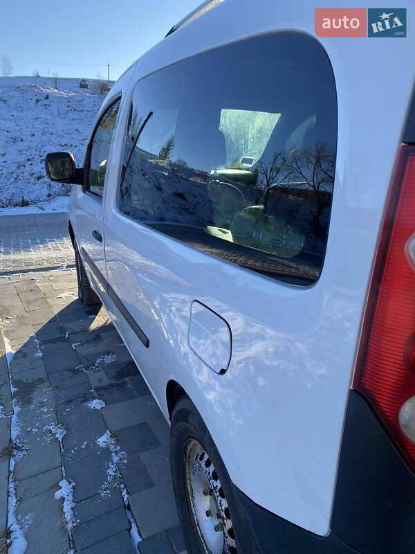 Минивэн Renault Kangoo 2010 в Сколе