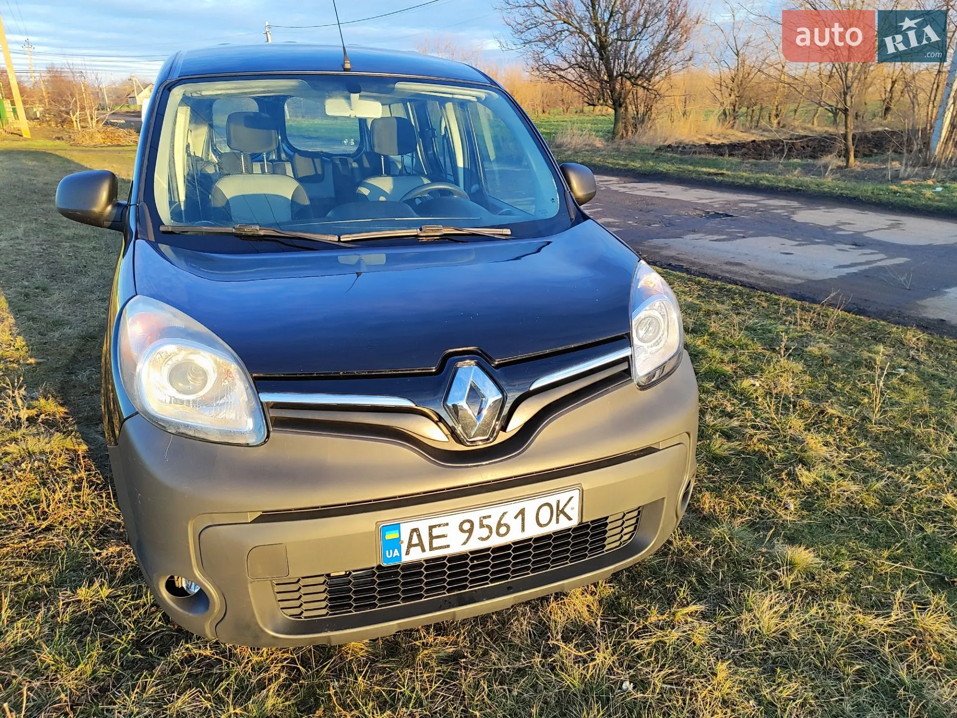 2016 Renault Kangoo - мініатюра 8