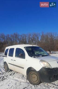Минивэн Renault Kangoo 2010 в 