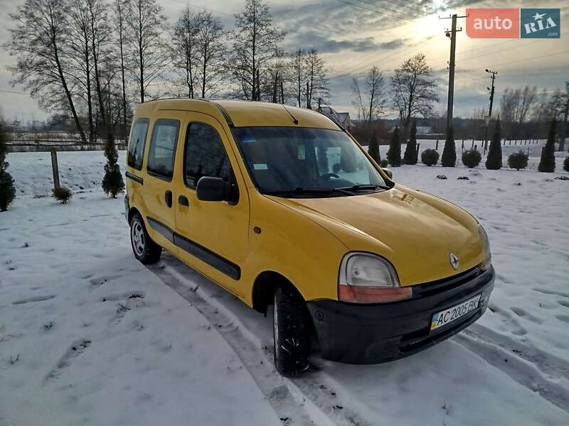 Грузовой фургон Renault Kangoo 2002 в Старой Выжевке