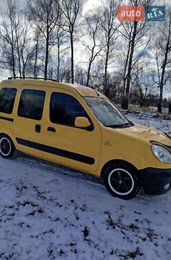 Минивэн Renault Kangoo 2007 в Летичеве