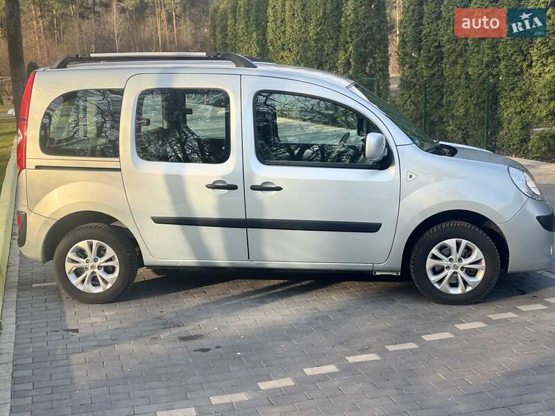 Минивэн Renault Kangoo 2009 в Шепетовке