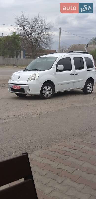 Минивэн Renault Kangoo 2009 в 