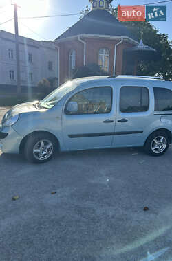 Минивэн Renault Kangoo 2009 в 