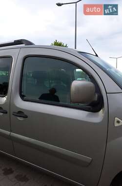 Минивэн Renault Kangoo 2010 в 