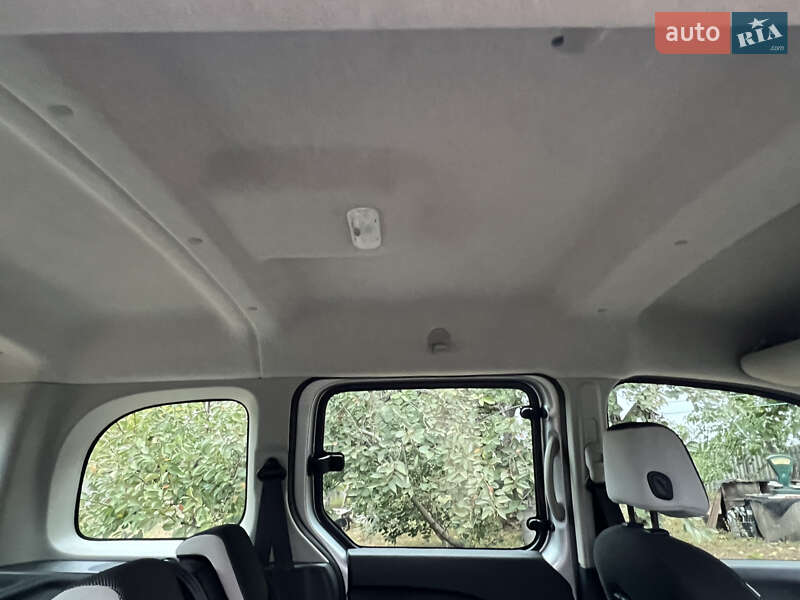 Минивэн Renault Kangoo 2014 в Днепре фото 66 Минивэн Renault Kangoo 2014 в Днепре