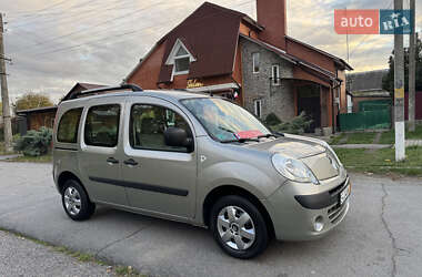 Минивэн Renault Kangoo 2009 в 