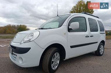 Минивэн Renault Kangoo 2010 в 