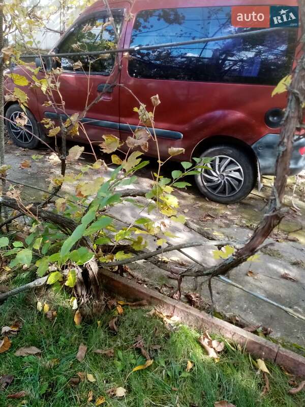 Минивэн Renault Kangoo 2000 в Шаргороде фото 10 Минивэн Renault Kangoo 2000 в Шаргороде