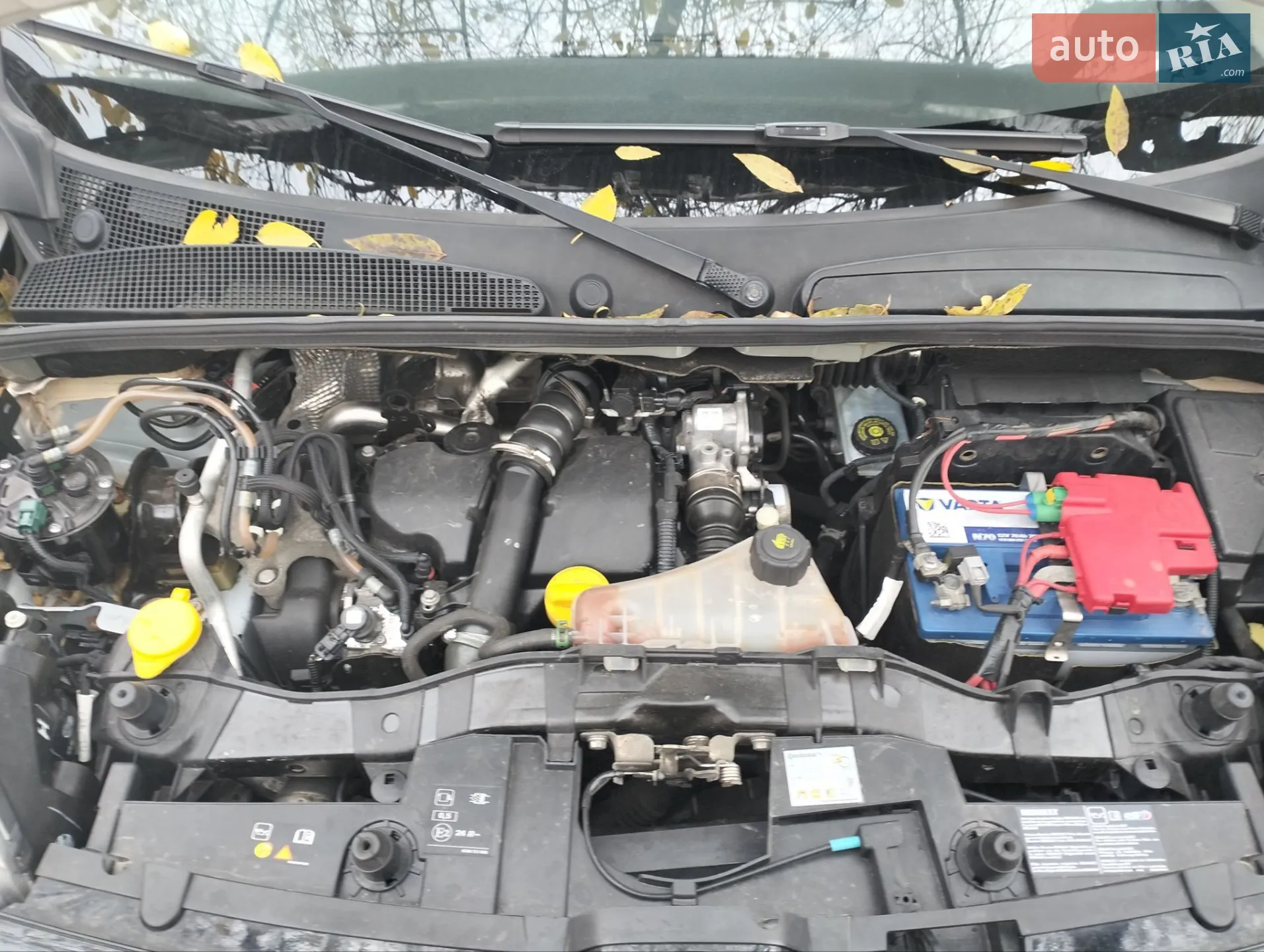 2015 Renault Kangoo - мініатюра 17