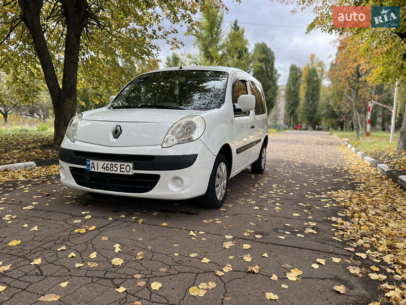 Мінівен Renault Kangoo 2008 в Житомирі