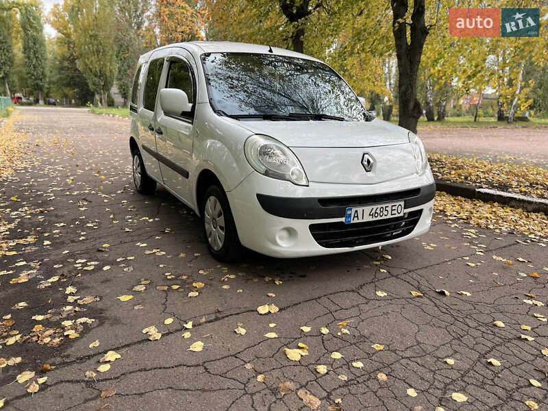 Мінівен Renault Kangoo 2008 в Житомирі