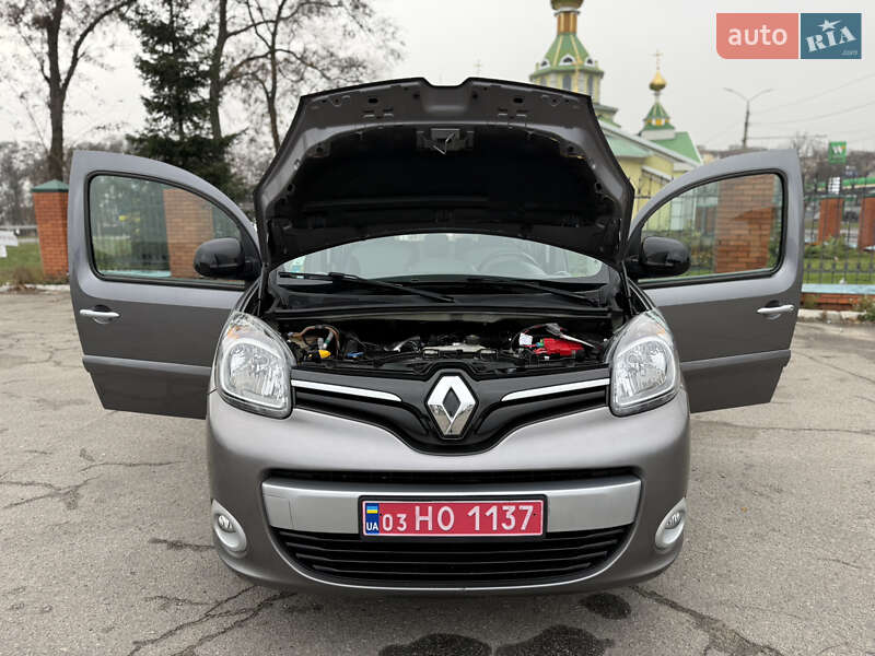 Минивэн Renault Kangoo 2018 в Днепре фото 97 Минивэн Renault Kangoo 2018 в Днепре