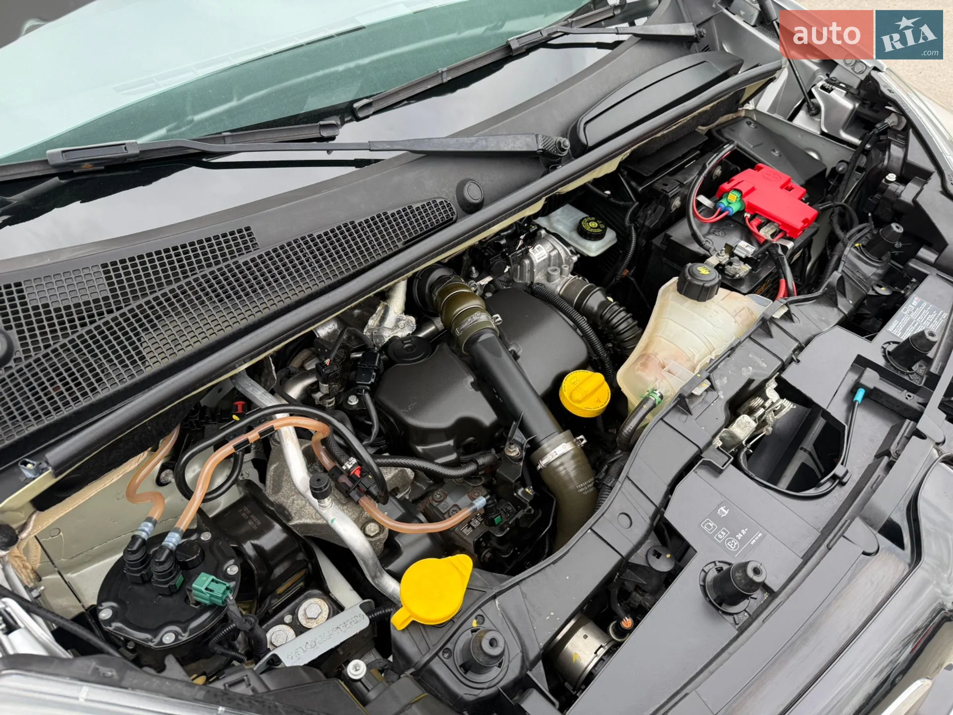 2013 Renault Kangoo - мініатюра 95