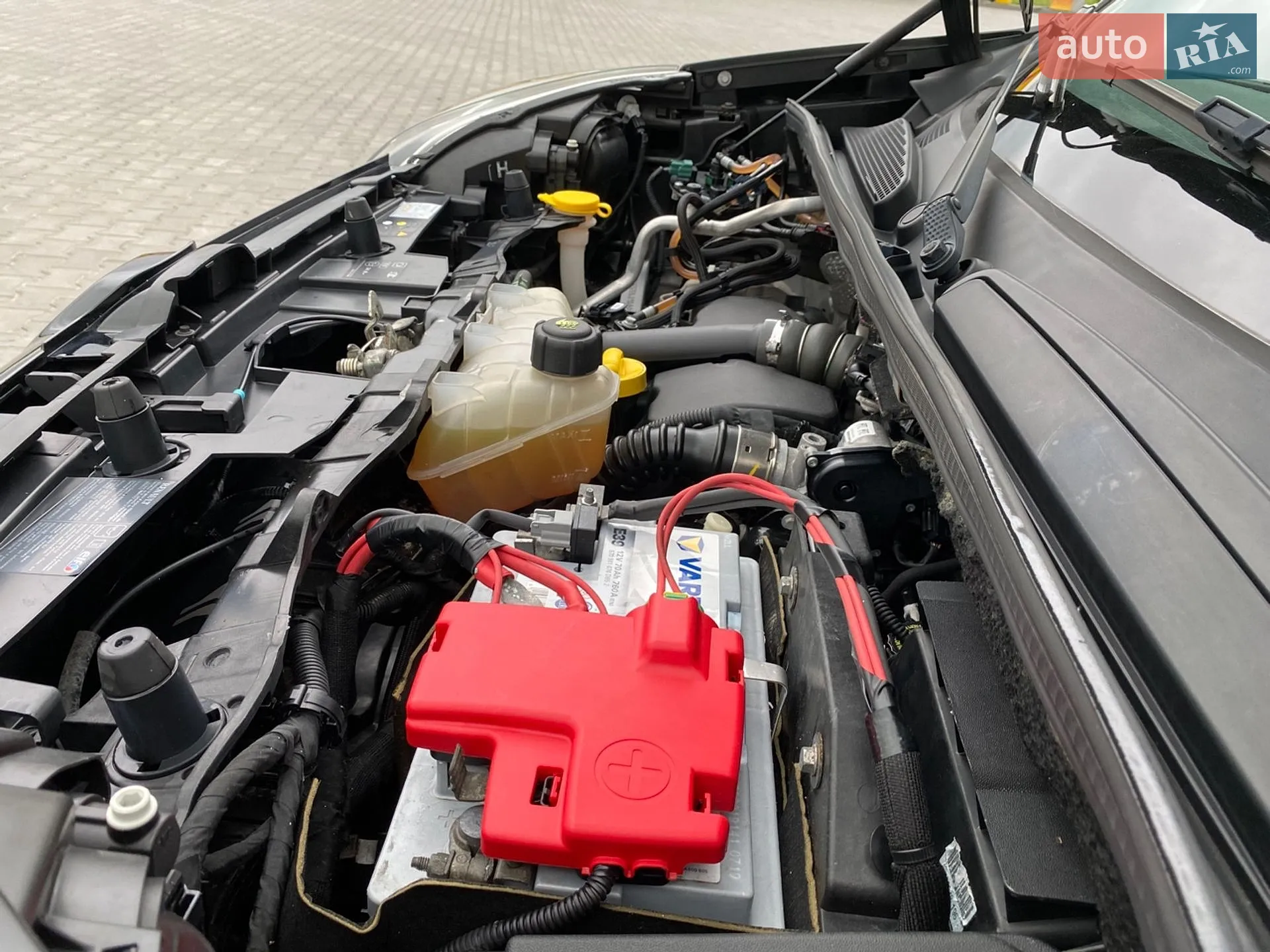 2015 Renault Kangoo - мініатюра 134