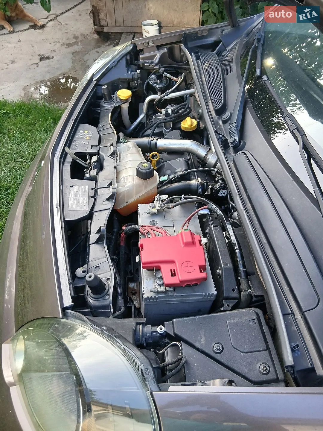 2011 Renault Kangoo - мініатюра 17