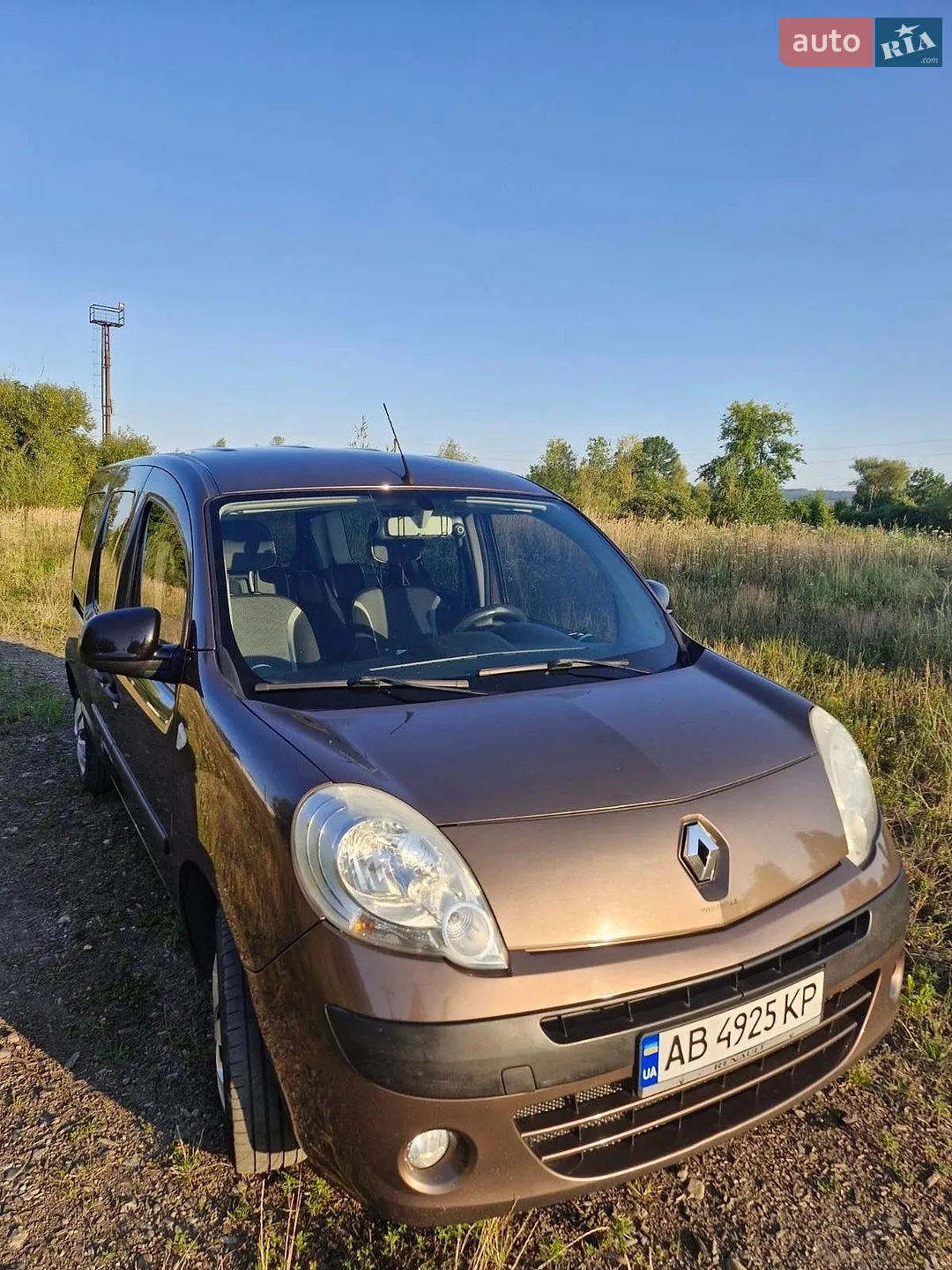 2013 Renault Kangoo - мініатюра 12