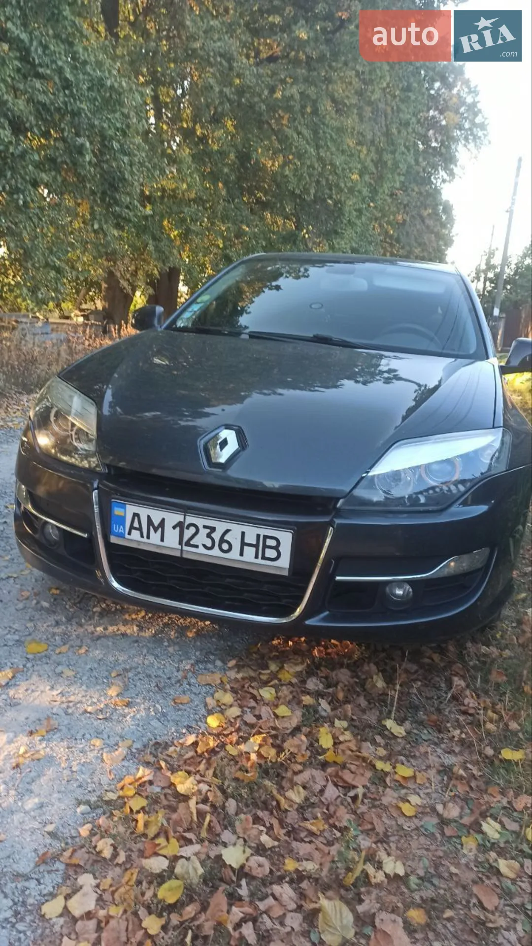 2011 Renault Laguna - мініатюра 14