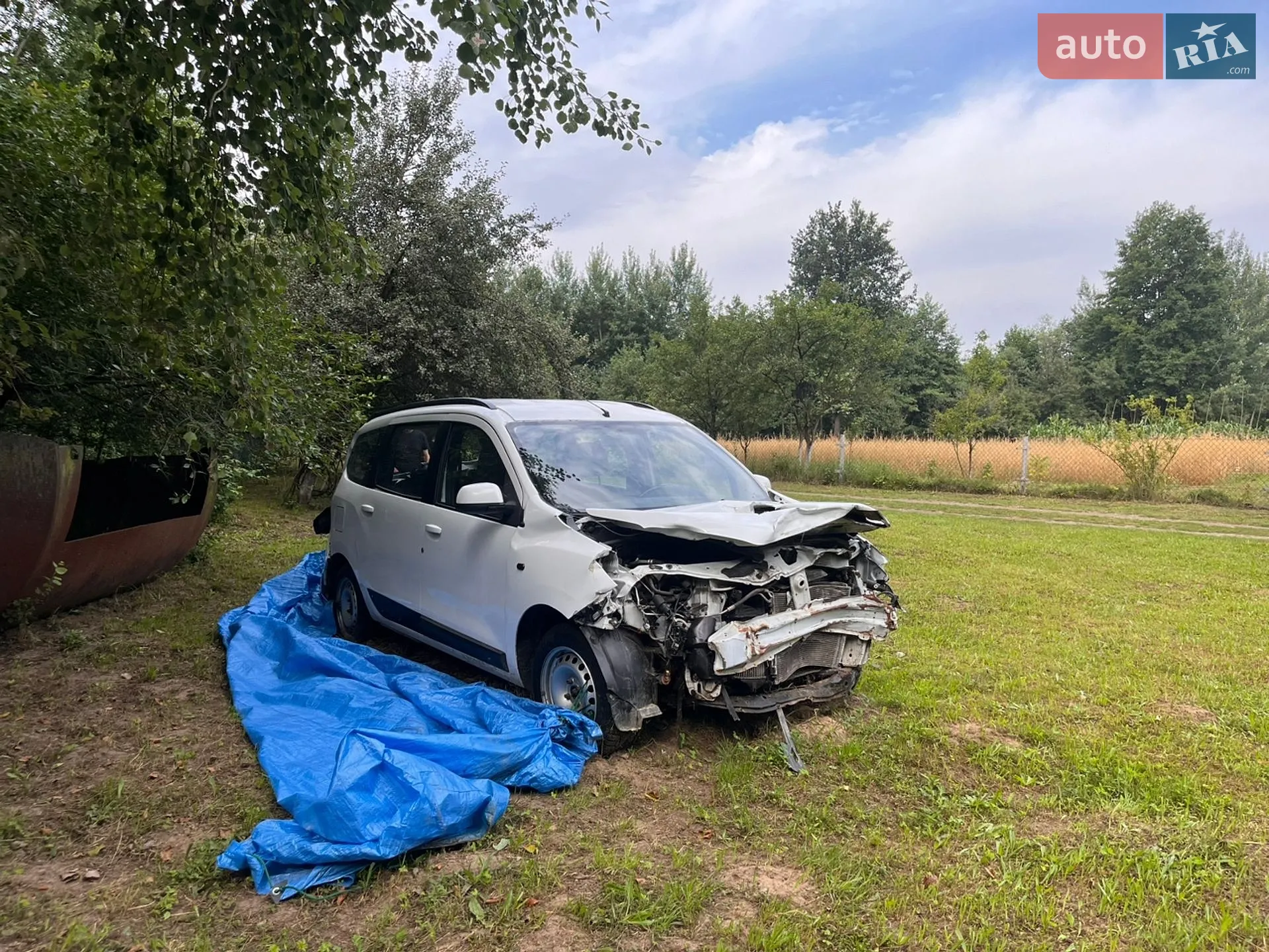 2013 Renault Lodgy - мініатюра 12