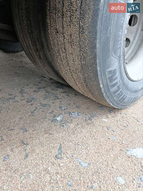 Тентованый Renault Magnum 2001 в Житомире