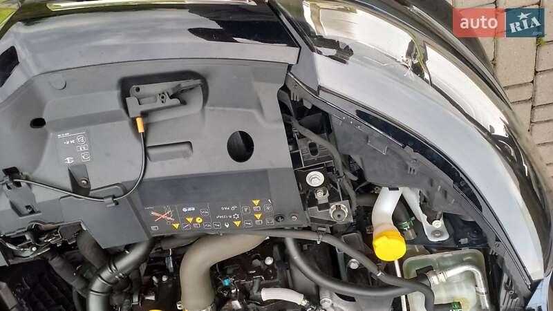 Универсал Renault Megane 2018 в Днепре фото 35 Универсал Renault Megane 2018 в Днепре