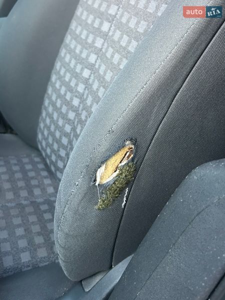 Универсал Renault Megane 2006 в Городенке