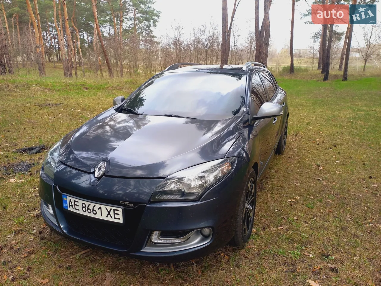 2013 Renault Megane - мініатюра 12
