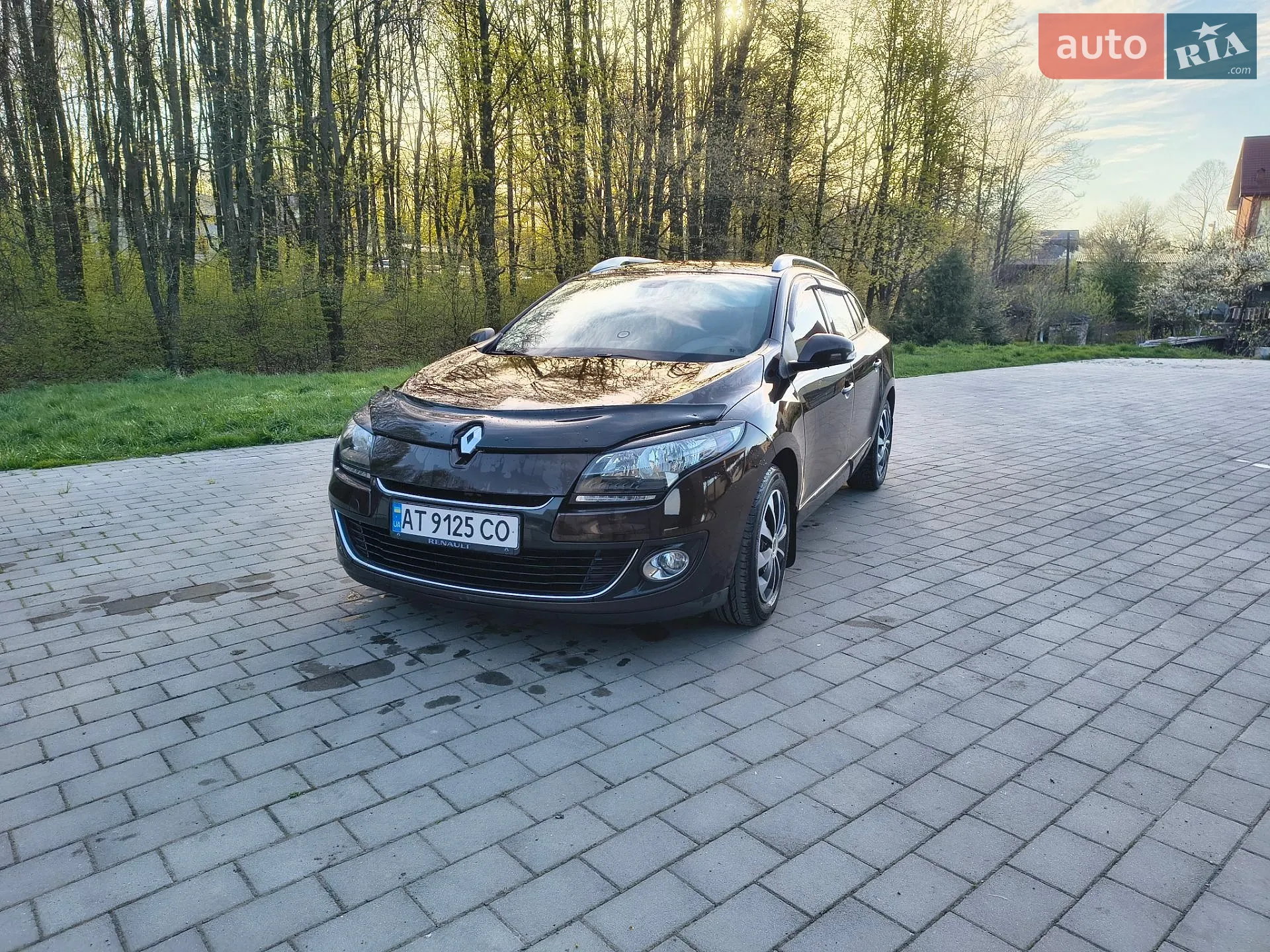 2013 Renault Megane - мініатюра 3