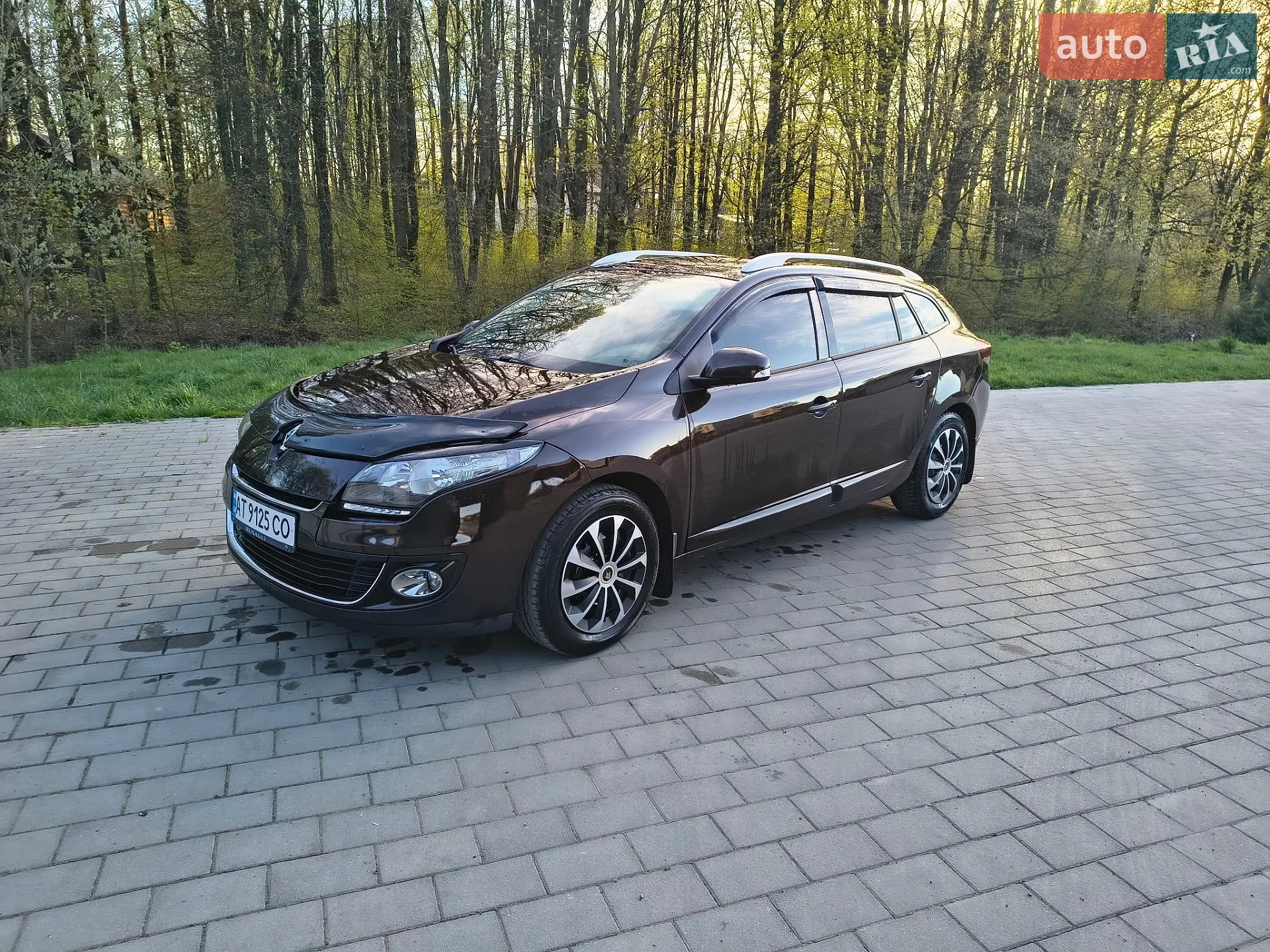 2013 Renault Megane - мініатюра 20