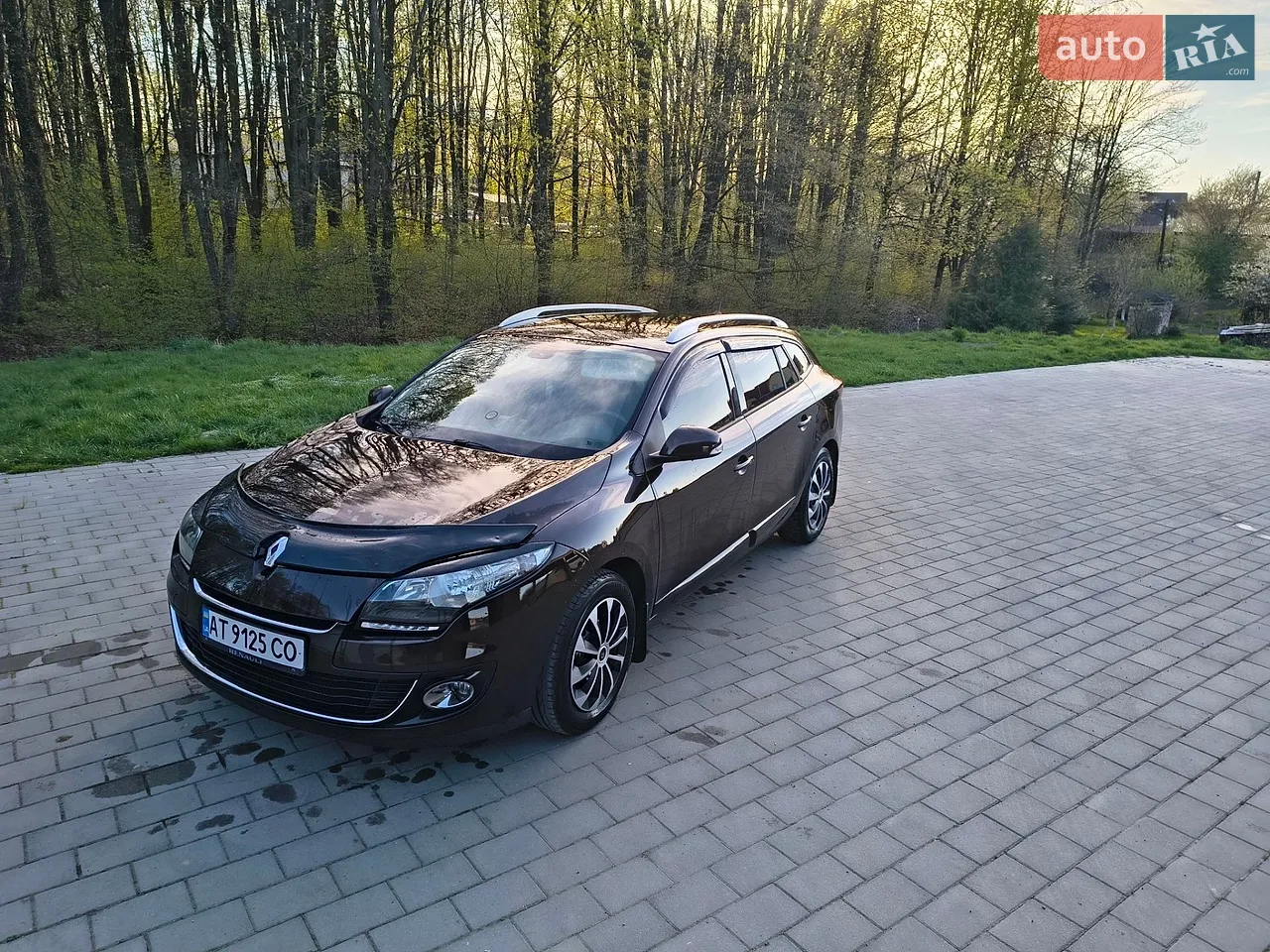 2013 Renault Megane - мініатюра 13