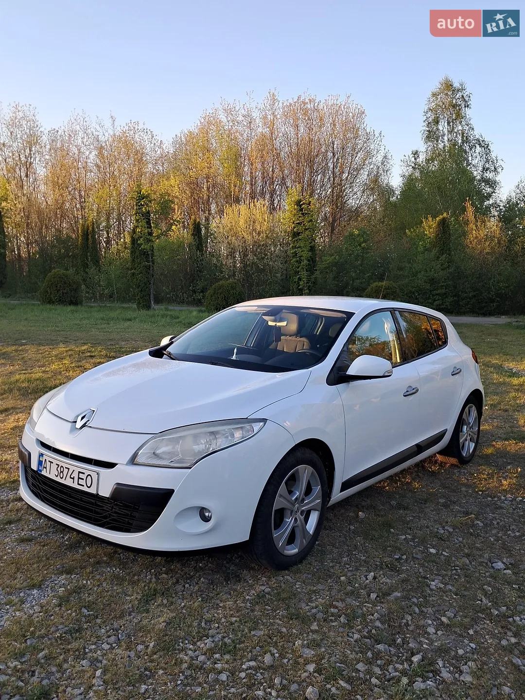 2010 Renault Megane - мініатюра 2