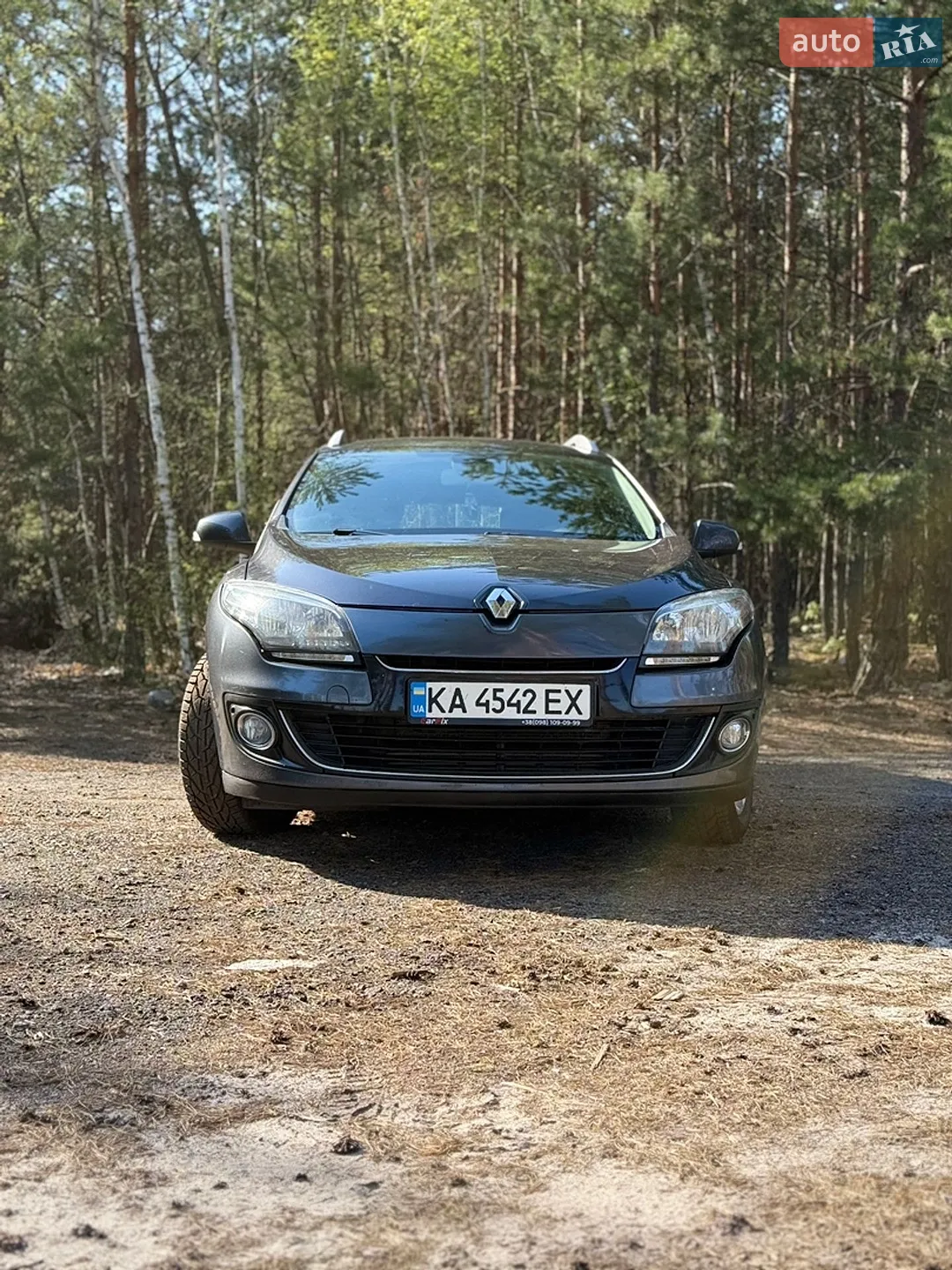 2013 Renault Megane - мініатюра 3