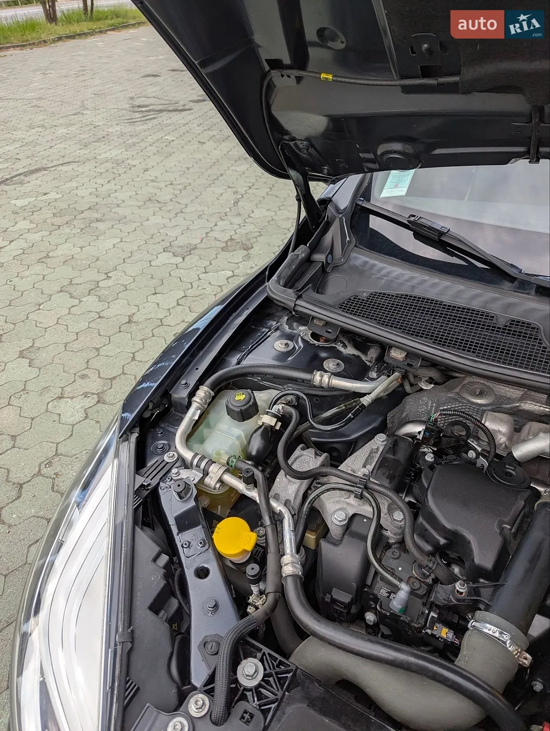2014 Renault Megane - мініатюра 40