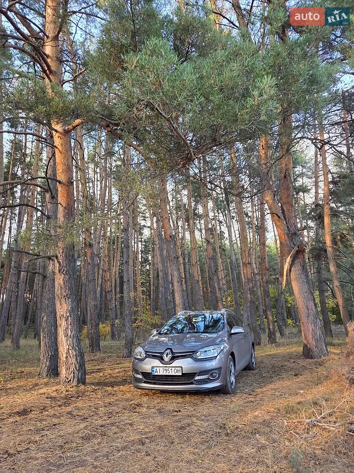 2013 Renault Megane - мініатюра 10